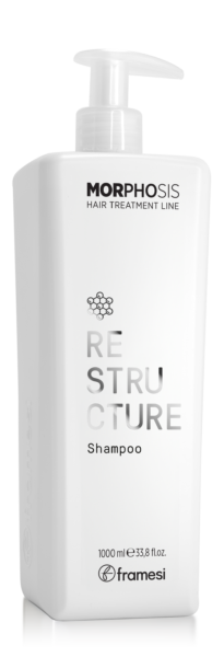 SHAMPOO RE STRUCTURE 250ML NEW  FRAMESI