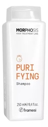 SHAMPOO PURIFYING ANTI CASPA 250ML  NEW FRAMESI